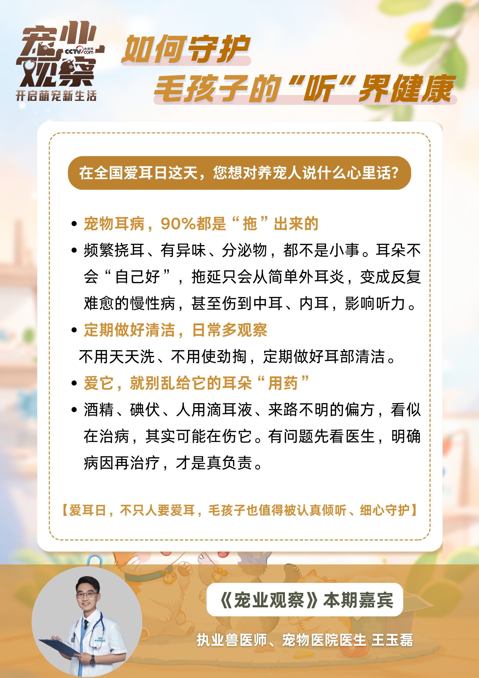 图说|第27个全国爱耳日:如何守护毛孩子的 “听” 界健康 图说|第27个全国爱耳日:如何守护毛孩子的 “听” 界健康