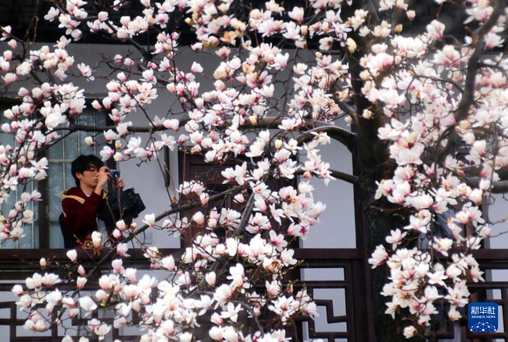 花开万里 共赴春光