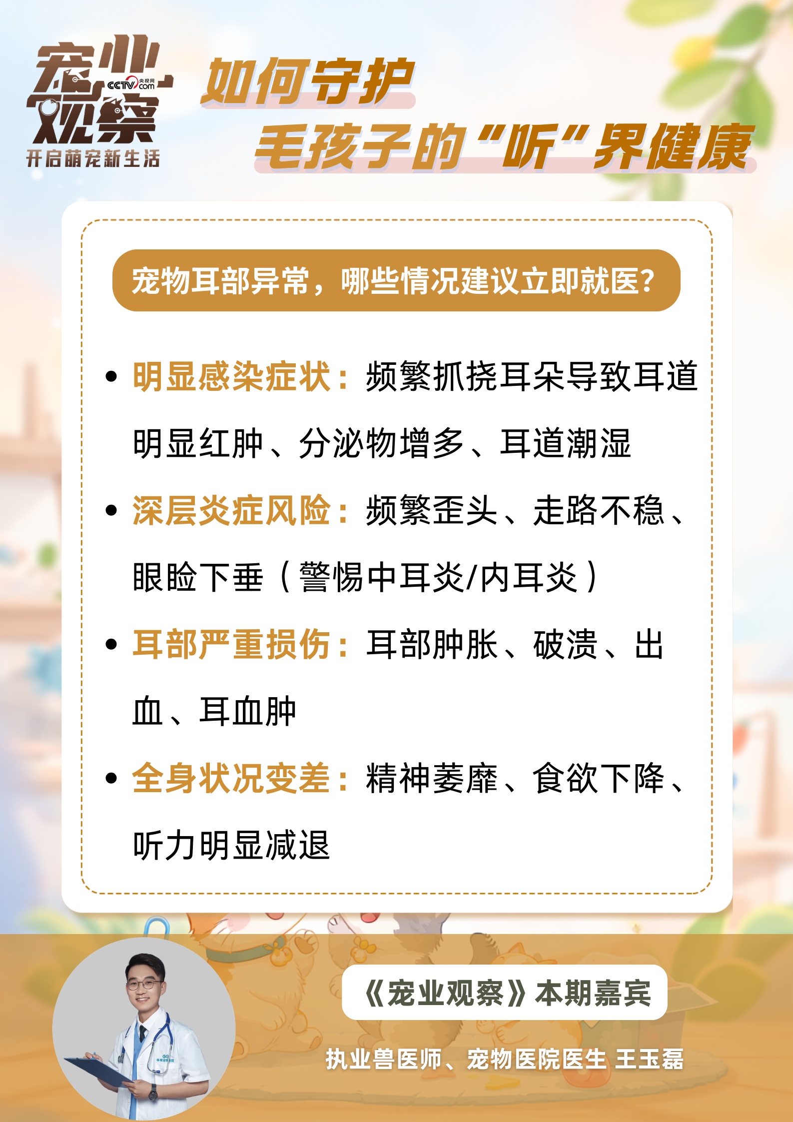 图说|第27个全国爱耳日:如何守护毛孩子的 “听” 界健康 图说|第27个全国爱耳日:如何守护毛孩子的 “听” 界健康
