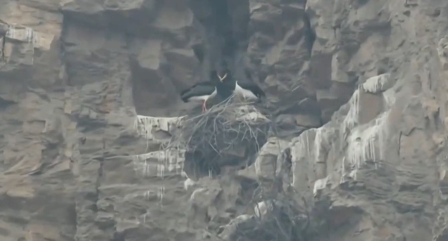 喜讯!北京房山一“小伙”相亲成功,预计今年4月当爹 喜讯!北京房山一“小伙”相亲成功,预计今年4月当爹