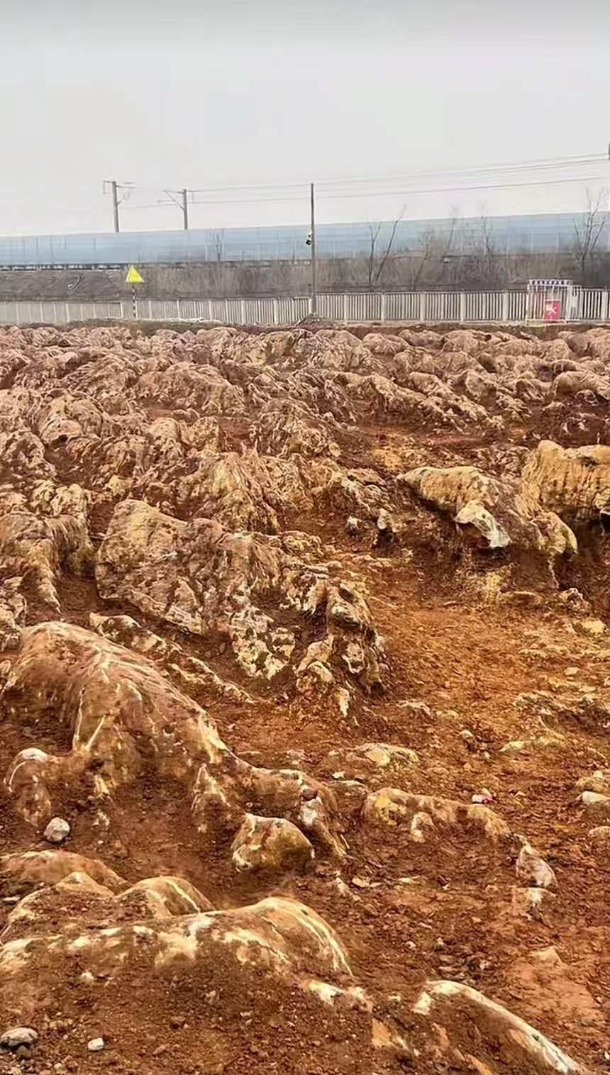 山东一高铁站施工现场惊现“石林”！地质专家回应