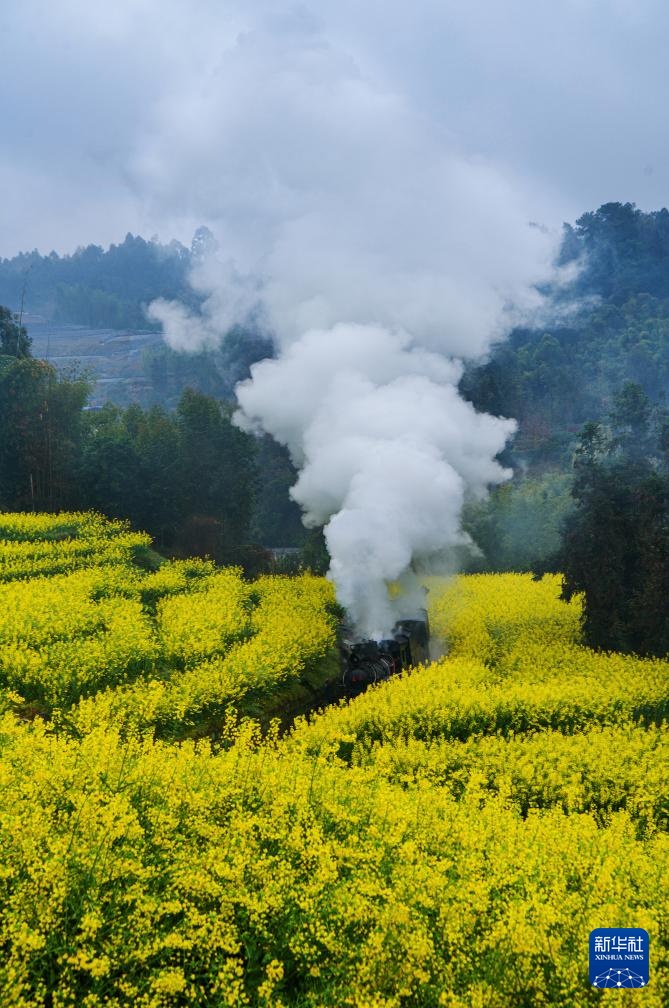花开万里 共赴春光