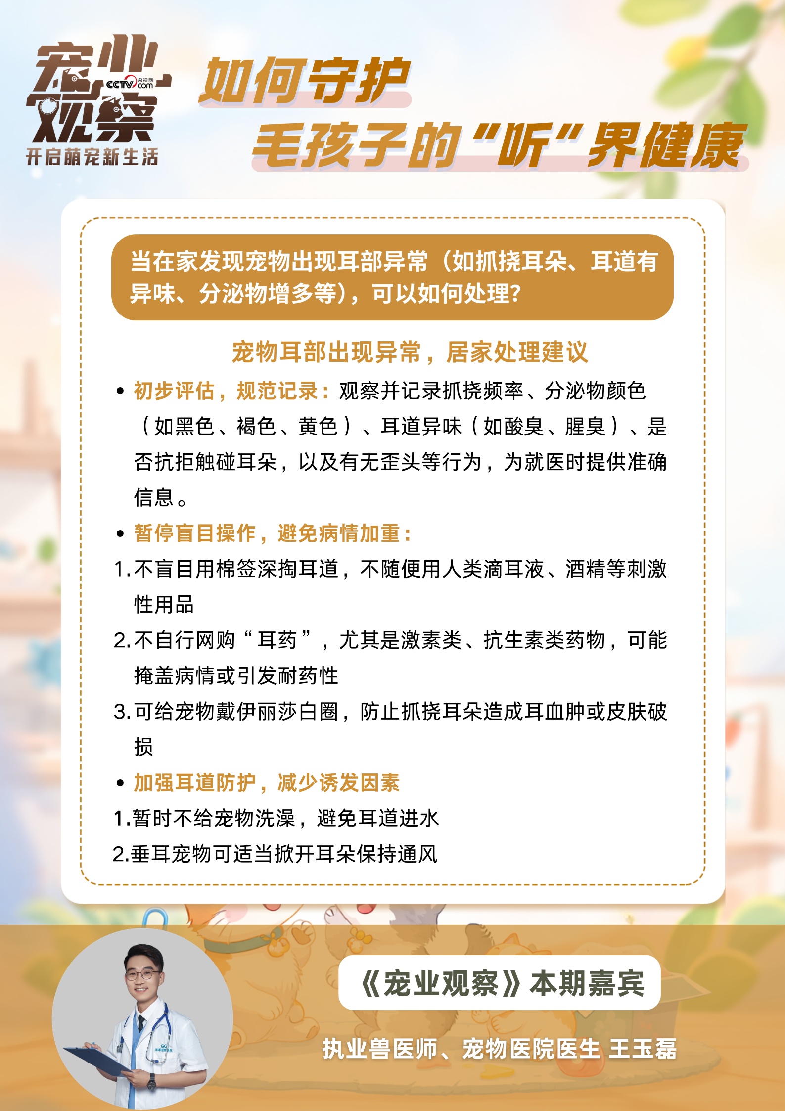 图说|第27个全国爱耳日:如何守护毛孩子的 “听” 界健康 图说|第27个全国爱耳日:如何守护毛孩子的 “听” 界健康