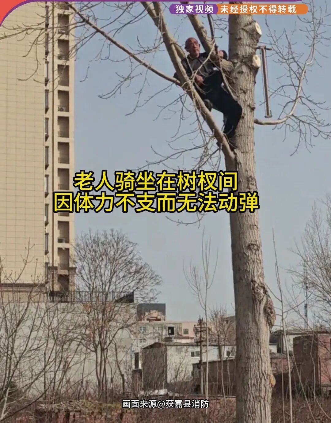 河南新乡87岁大爷挂树上了!救援时一句话让消防哭笑不得 河南新乡87岁大爷挂树上了!救援时一句话让消防哭笑不得
