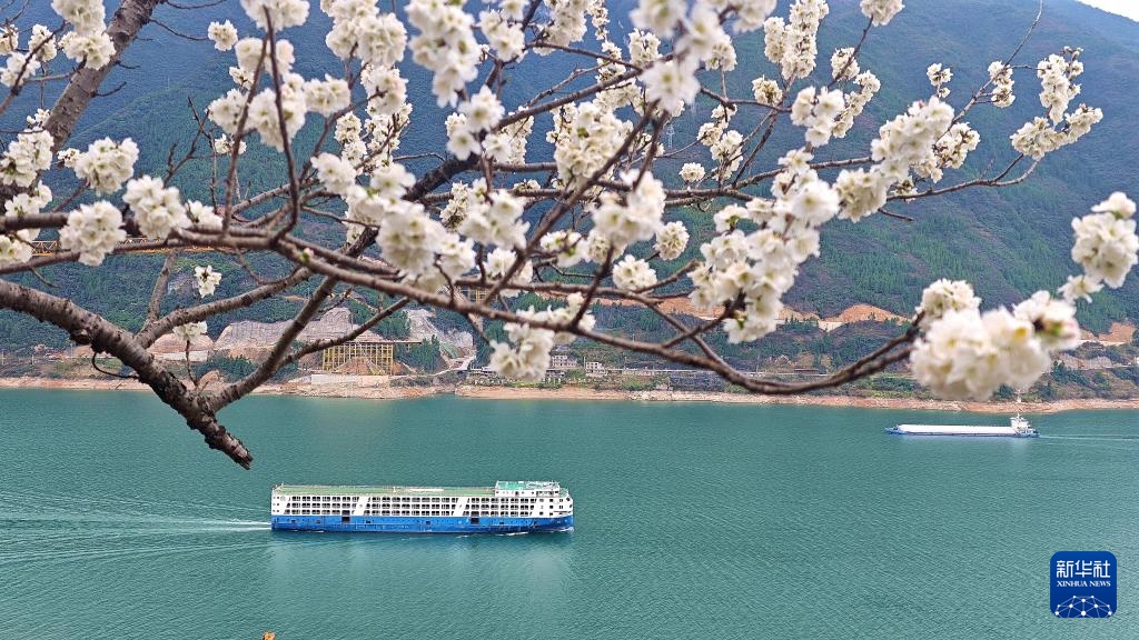 花开万里 共赴春光