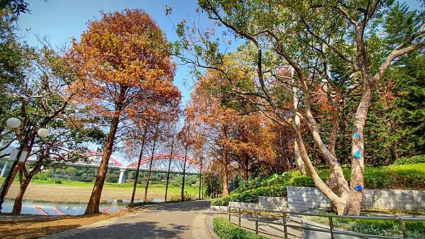 冬天正从广东消失?气象专家解析→ 冬天正从广东消失?气象专家解析→