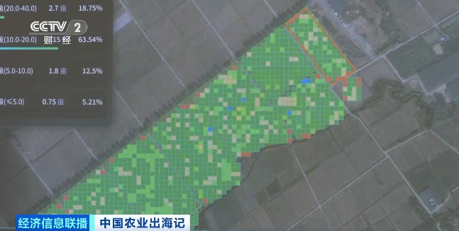 中国农场已经进化成这样了吗？