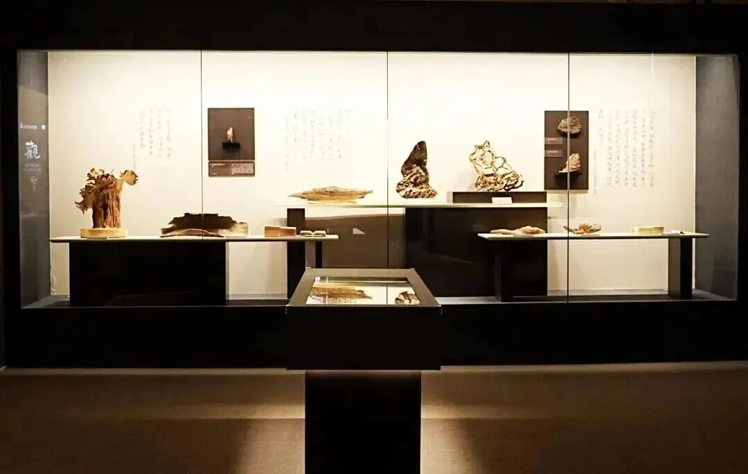 即将结束！上海这些大展再不看就要错过了
