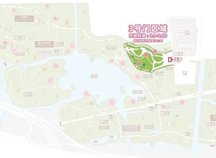 2026上海樱花节来了!首推“景随花移”夜游新模式,活动多元体验感“拉满” 2026上海樱花节来了!首推“景随花移”夜游新模式,活动多元体验感“拉满”