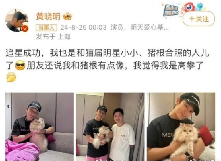网红小猫“宽宽”离世，主人索赔30万！疑因医院操作不当发生意外，网友：不敢相信....