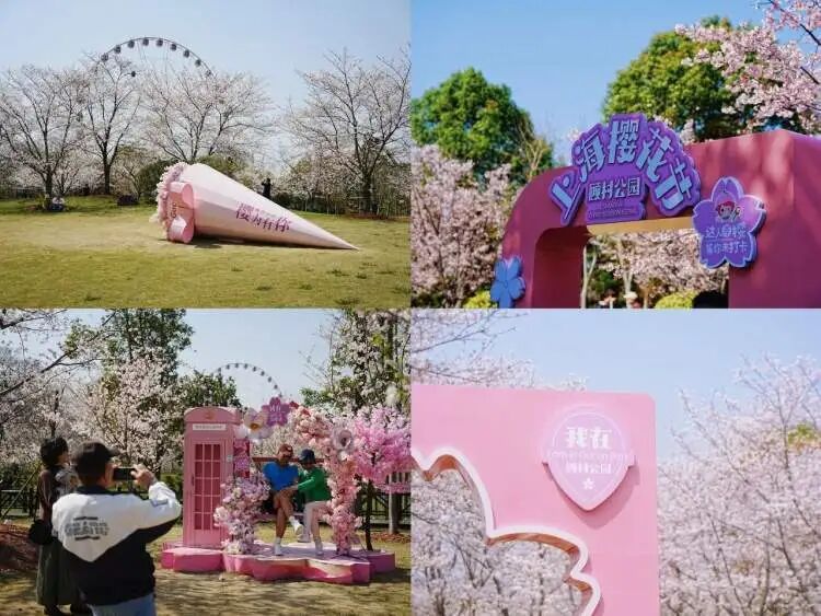 2026上海樱花节来了!首推“景随花移”夜游新模式,活动多元体验感“拉满” 2026上海樱花节来了!首推“景随花移”夜游新模式,活动多元体验感“拉满”