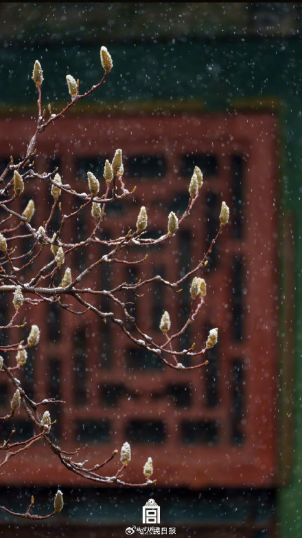 转存！故宫雪景壁纸上新