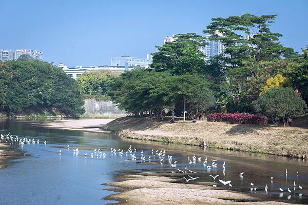 冬天正从广东消失?气象专家解析→ 冬天正从广东消失?气象专家解析→