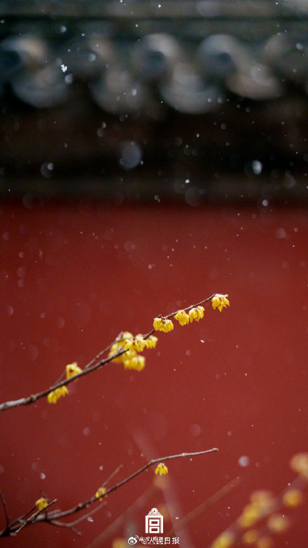 转存！故宫雪景壁纸上新