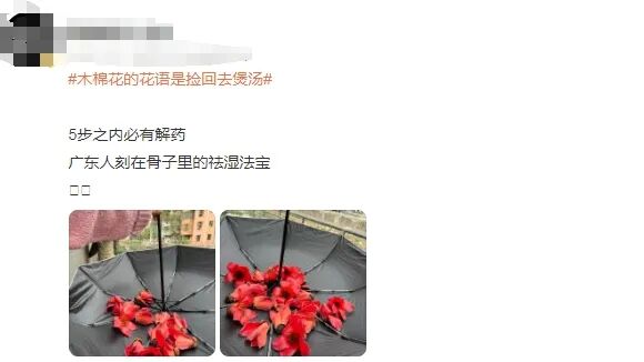 不要捡，不要吃！最近广东街头大量出现