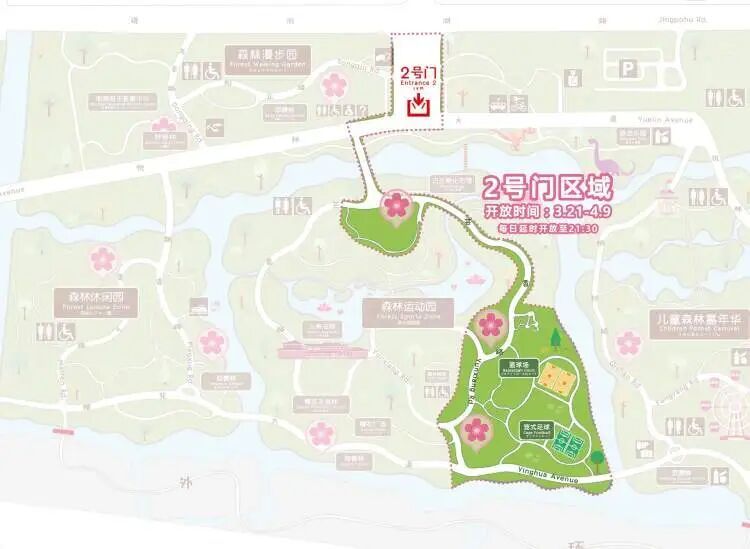 2026上海樱花节来了!首推“景随花移”夜游新模式,活动多元体验感“拉满” 2026上海樱花节来了!首推“景随花移”夜游新模式,活动多元体验感“拉满”