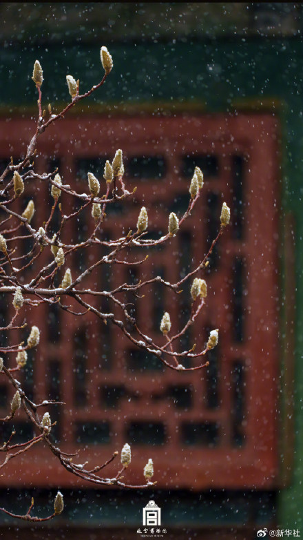 故宫雪景大片再次上新了