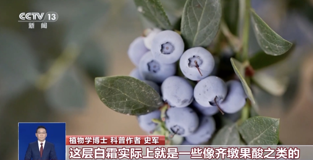 发霉水果别乱吃！切掉坏的、高温蒸煮……这些做法全错了！