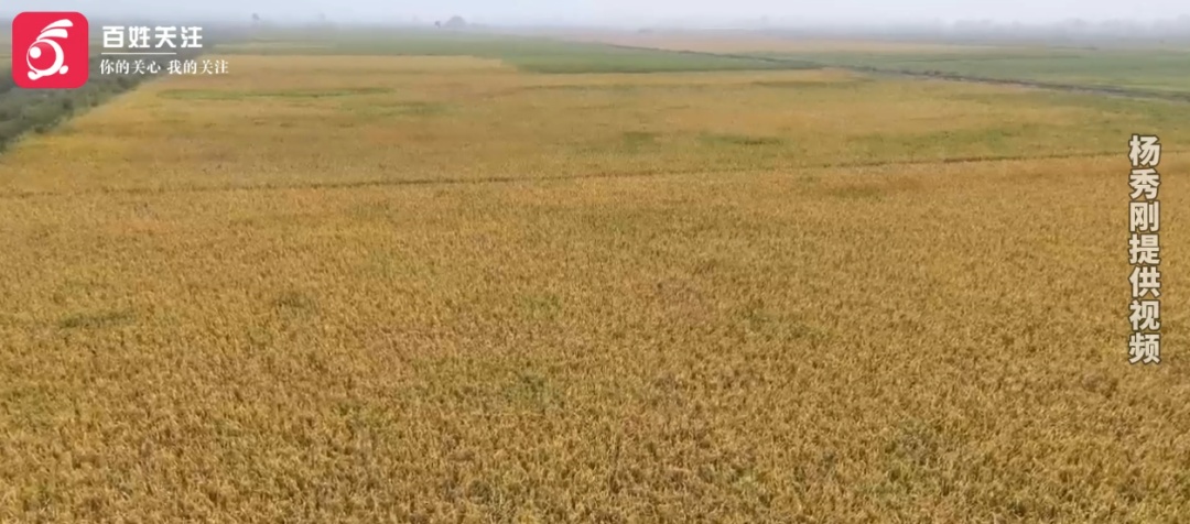 这不是爽文！因为太会种地，贵州大叔在非洲被专人持枪贴身保护