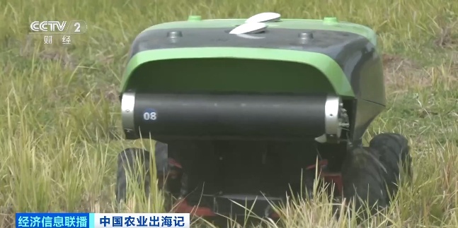 中国农场已经进化成这样了吗？