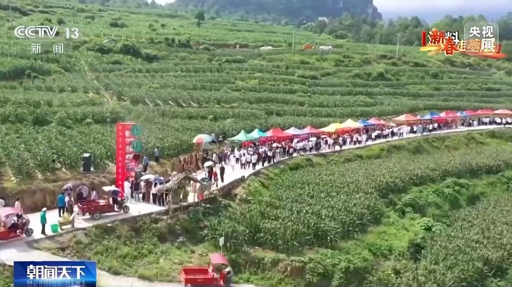 新春走基层丨把传统集市搬到线上 他们让农产品走出大山 新春走基层丨把传统集市搬到线上 他们让农产品走出大山