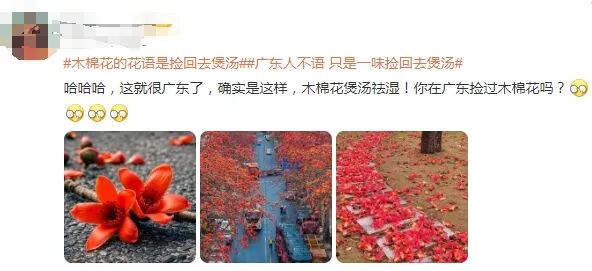 不要捡，不要吃！最近广东街头大量出现