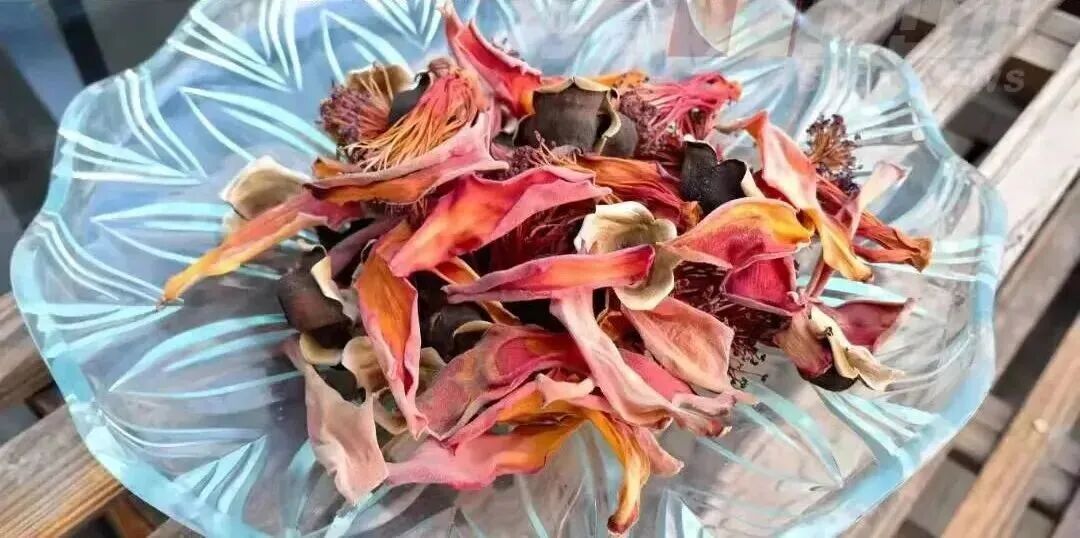 不要捡!路边的木棉食用会暗藏风险 不要捡!路边的木棉食用会暗藏风险