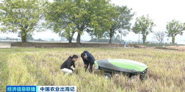 中国农场已经进化成这样了吗？