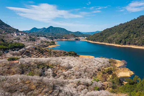 冬天正从广东消失?气象专家解析→ 冬天正从广东消失?气象专家解析→