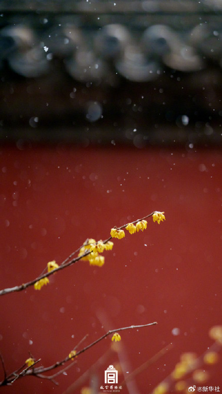 故宫雪景大片再次上新了