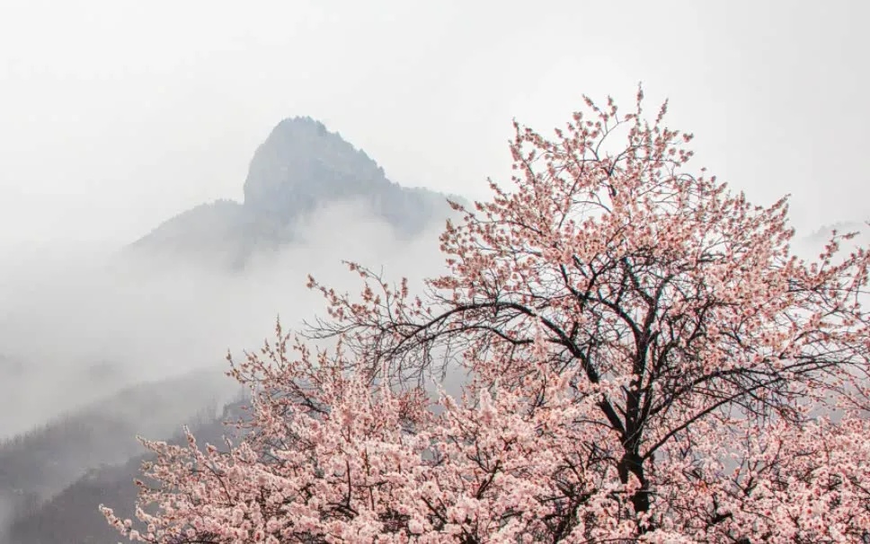 速看！河南一大波景区对女士免票啦