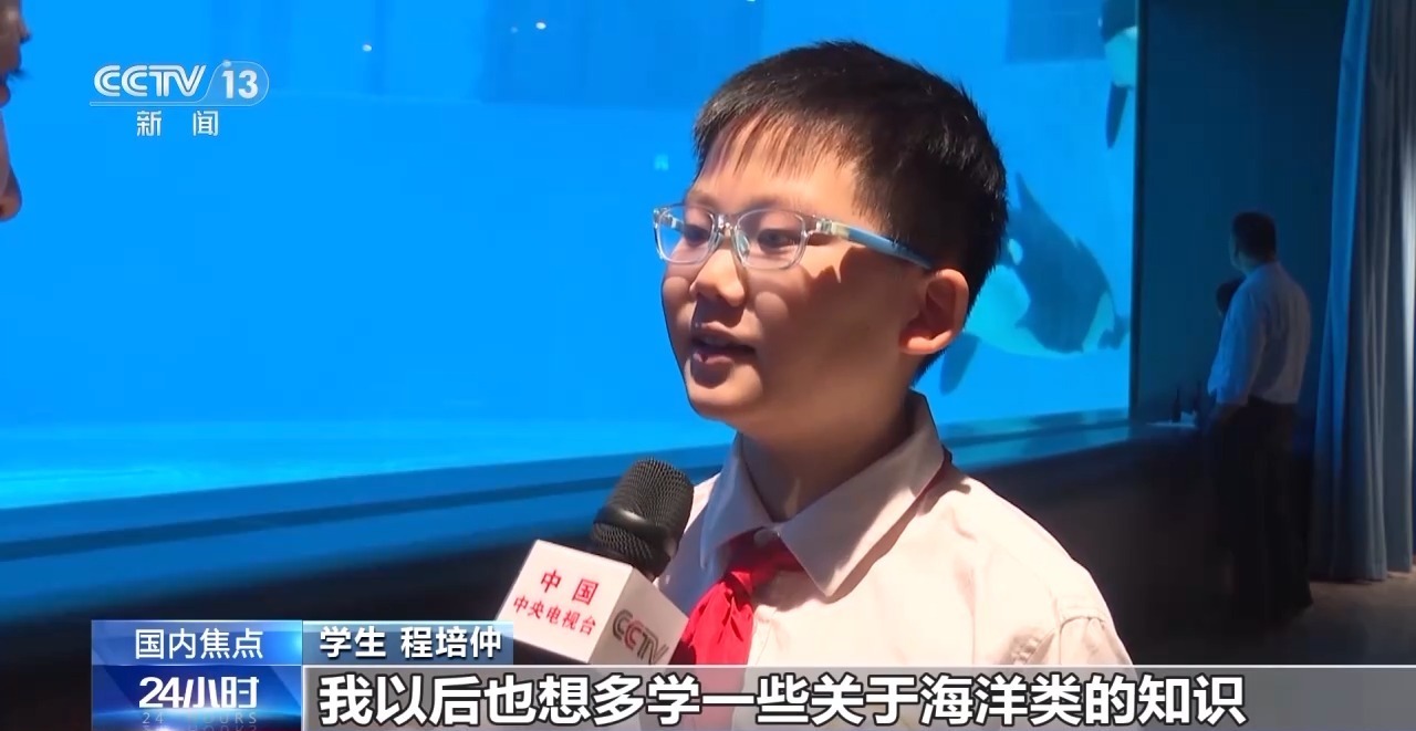 金雕、豹猫等放归自然 八达岭林场迎特殊“归客” 金雕、豹猫等放归自然 八达岭林场迎特殊“归客”