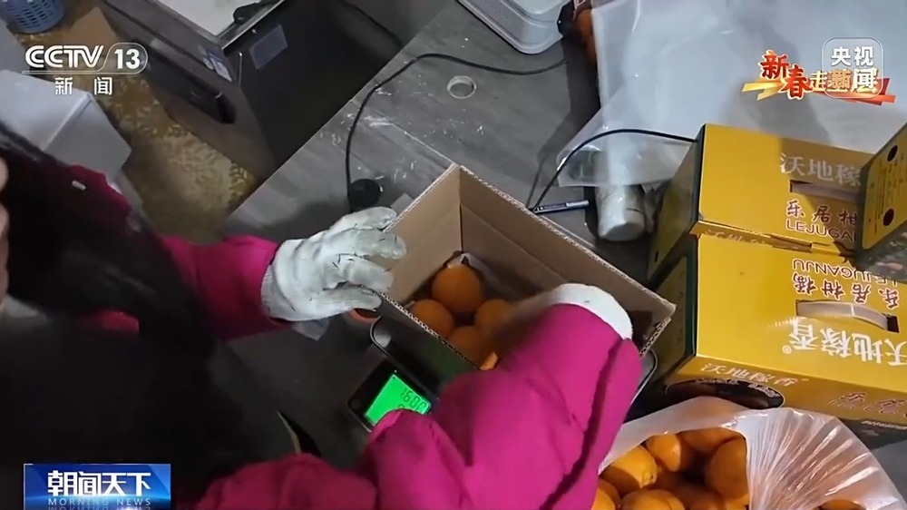 新春走基层丨把传统集市搬到线上 他们让农产品走出大山 新春走基层丨把传统集市搬到线上 他们让农产品走出大山