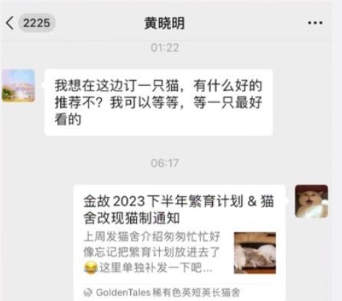 网红小猫“宽宽”离世，主人索赔30万！疑因医院操作不当发生意外，网友：不敢相信....