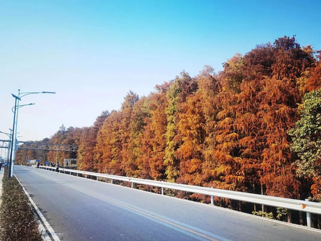 冬天正从广东消失?气象专家解析→ 冬天正从广东消失?气象专家解析→