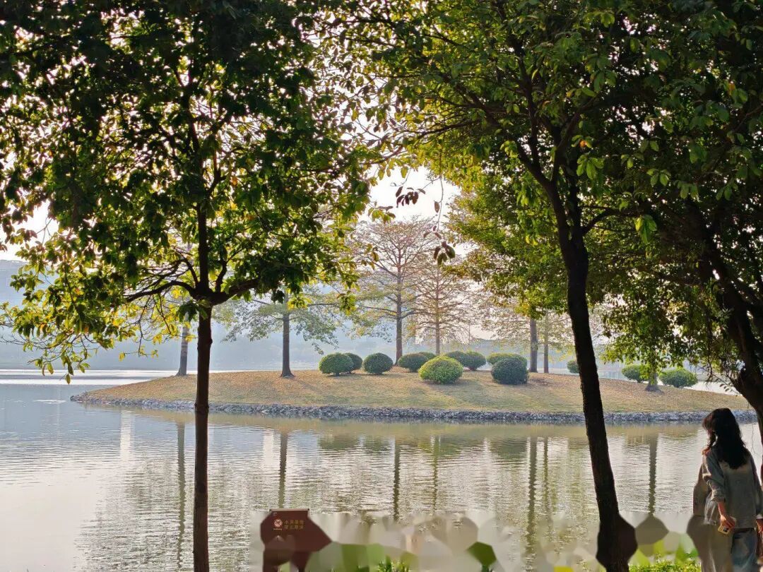 冬天正从广东消失?气象专家解析→ 冬天正从广东消失?气象专家解析→