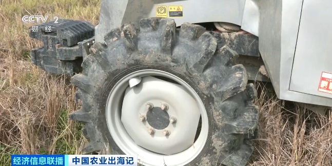 中国农场已经进化成这样了吗？