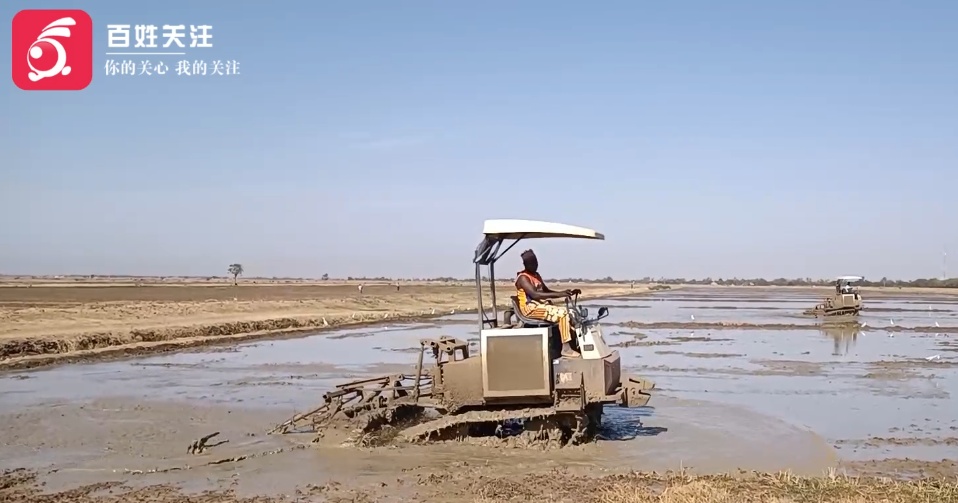 这不是爽文！因为太会种地，贵州大叔在非洲被专人持枪贴身保护