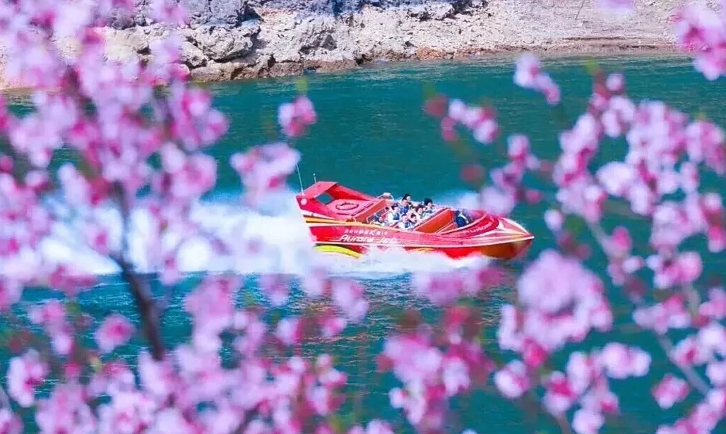 河南这些景区，向所有女士免门票