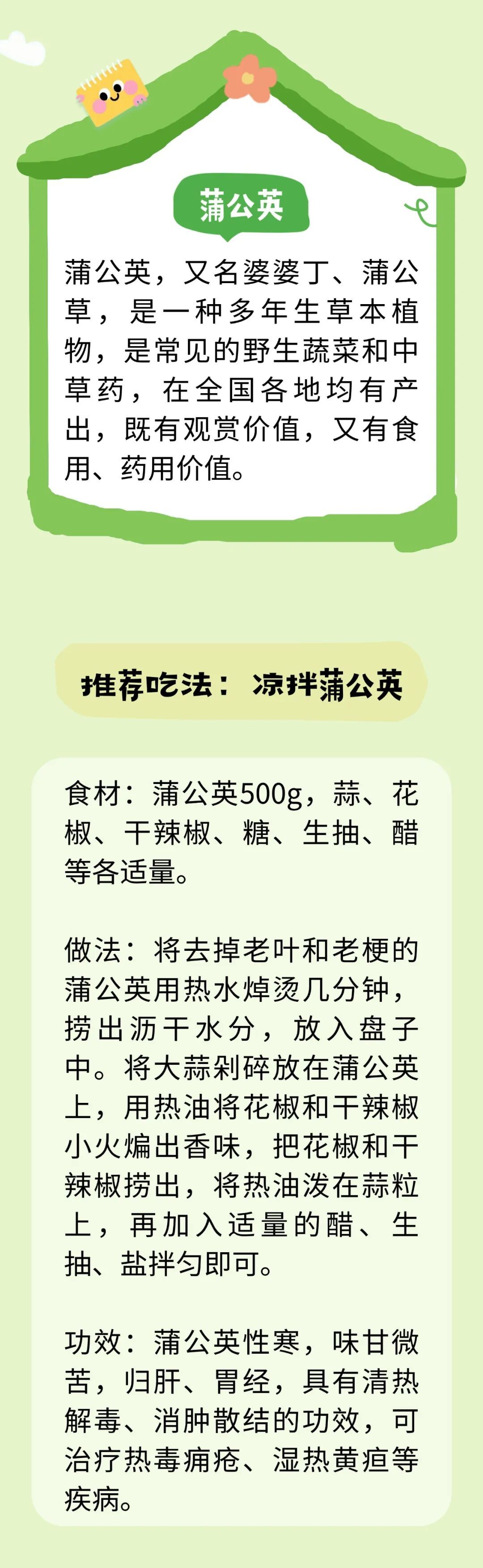 别把野菜当野草!春天吃它,等于在吃“天然中药”~ 别把野菜当野草!春天吃它,等于在吃“天然中药”~