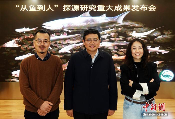 中国发现4亿多年前原始硬骨鱼类 填补“从鱼到人”演化空白