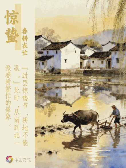 今日惊蛰 | 惊雷启蛰 时雨润春