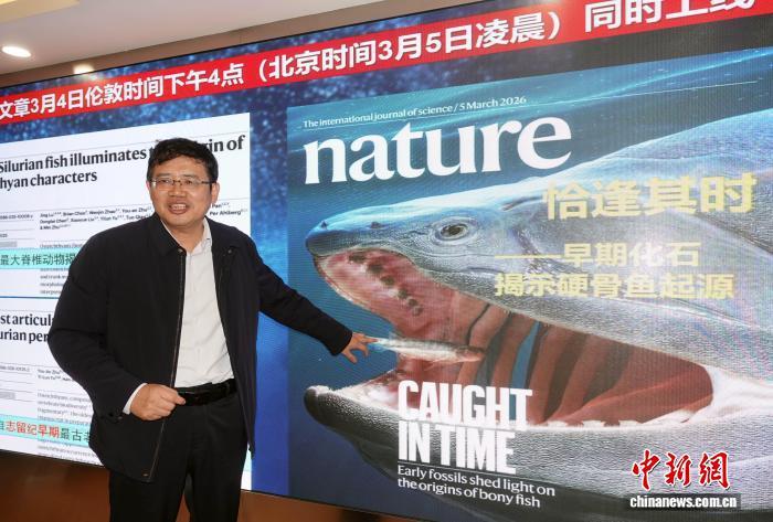中国发现4亿多年前原始硬骨鱼类 填补“从鱼到人”演化空白