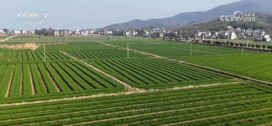 希望的田野万象“耕”新春潮涌动 先进农机“硬核”赋能春耕“提速”惠农