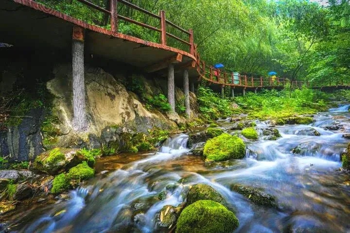 河南这些景区，向所有女士免门票