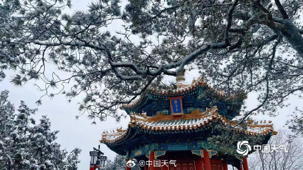 银装素裹在故宫具象化了