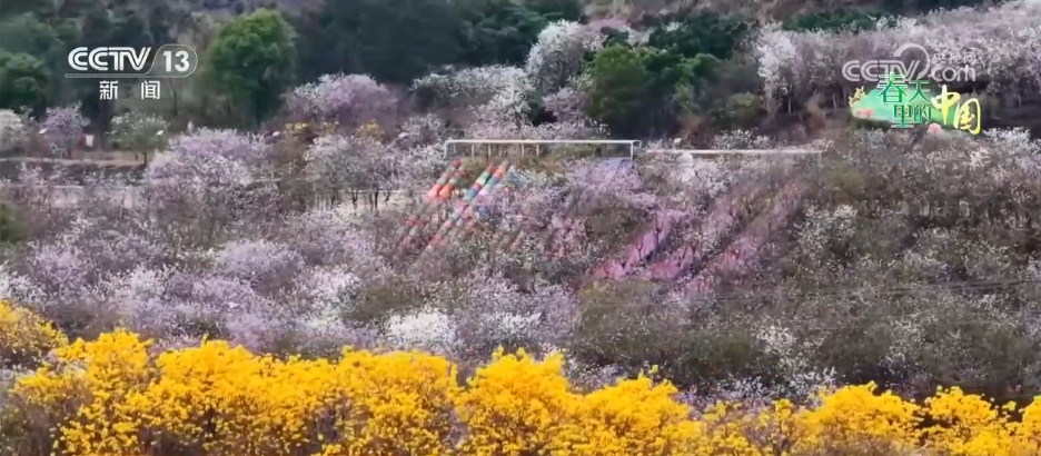 春天里的中国 | 春色旖旎醉游人 大美山河绘就多彩画卷