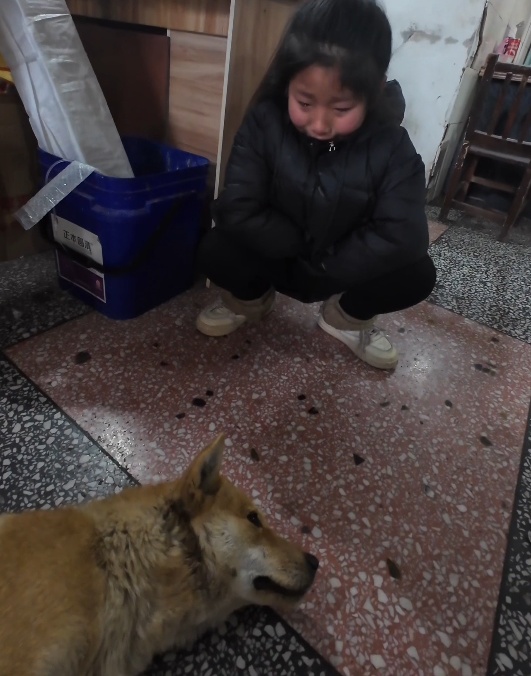 “它死了我怎么办？”小女孩一句话，乡村兽医免费救助小土狗