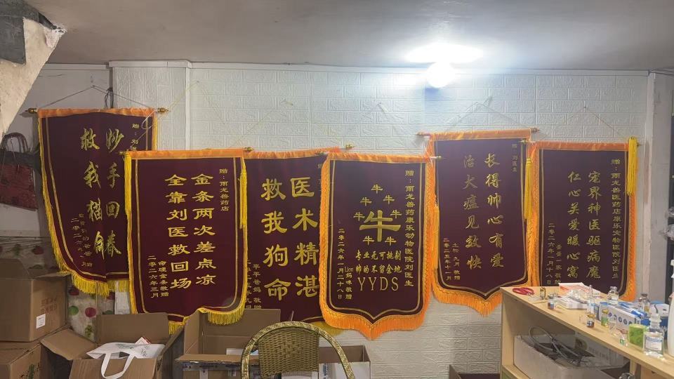 “它死了我怎么办？”小女孩一句话，乡村兽医免费救助小土狗