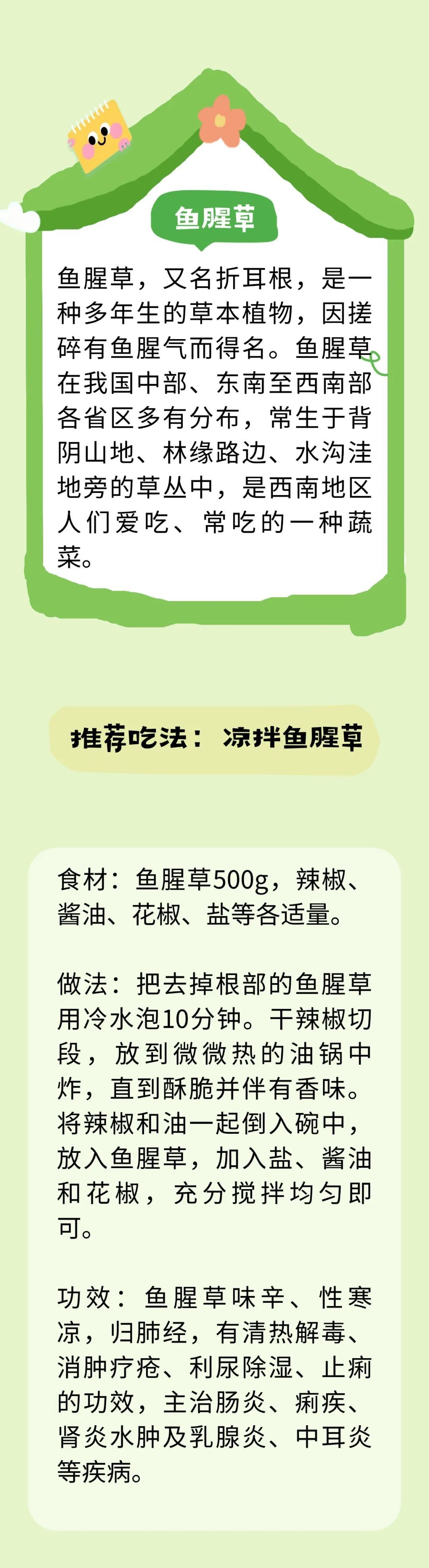 别把野菜当野草!春天吃它,等于在吃“天然中药”~ 别把野菜当野草!春天吃它,等于在吃“天然中药”~